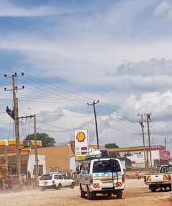 sinew installation11.jpg